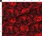 Various Fabrics by the Yard or Fat Quarter Blood Roses Rose Flowers Romantic Victorian Red Fire Orange Poppy Floral Nature Photographic Custom Printed Fabric by Spoonflower